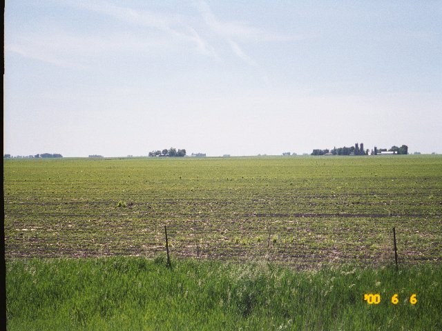 Looking West from Callender