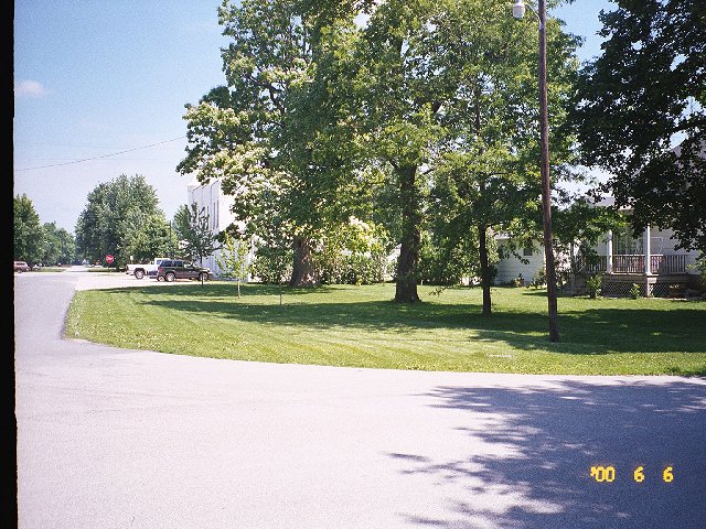 The football field