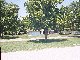 Gowrie Park