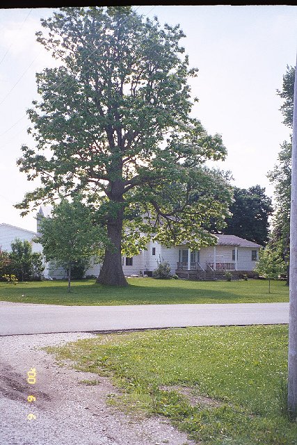 A view from the Northwest